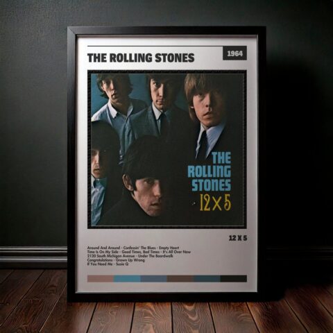 Cuadro The Rolling Stones - 12 X 5