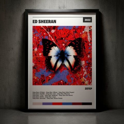 Cuadro Ed Sheeran - 2step