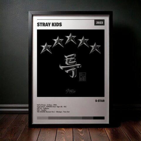Cuadro Stray Kids - 5-STAR