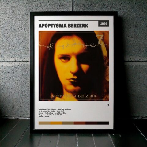 Cuadro Apoptygma Berzerk - 7