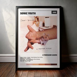 Cuadro Sonic Youth - A Thousand Leaves