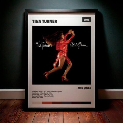 Cuadro Tina Turner - Acid Queen