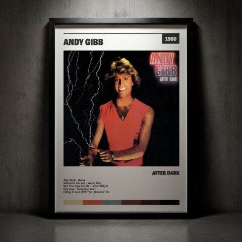 Cuadro Andy Gibb - After Dark