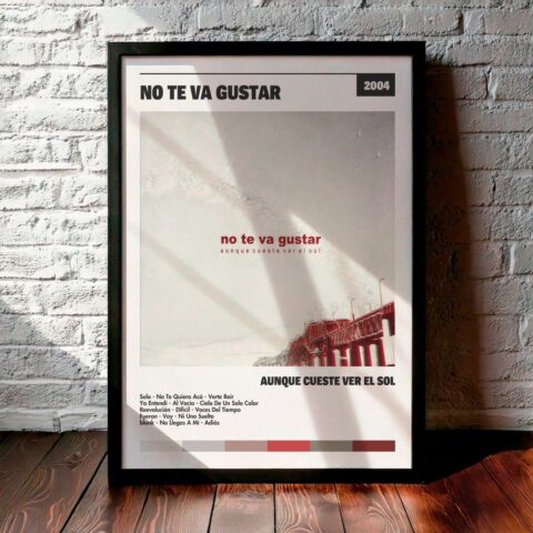 Cuadro No Te Va Gustar - Aunque Cueste Ver El Sol