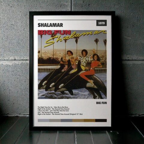 Cuadro Shalamar - Big Fun