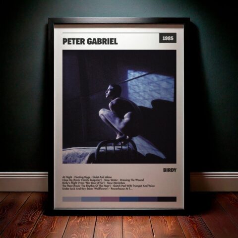 Cuadro Peter Gabriel - Birdy