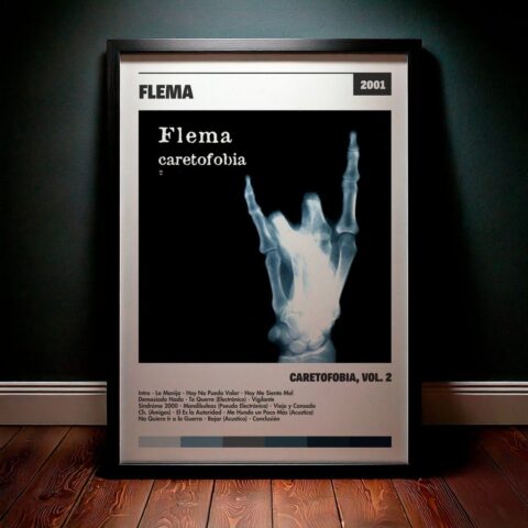 Cuadro Flema - Caretofobia, Vol. 2