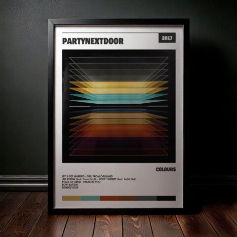 Cuadro PARTYNEXTDOOR - COLOURS