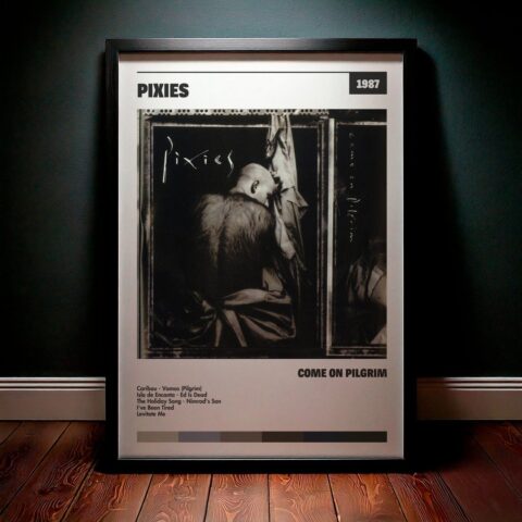 Cuadro Pixies - Come On Pilgrim