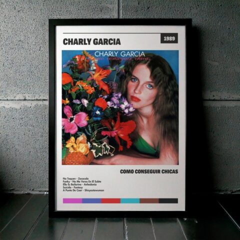 Cuadro Charly García - Como Conseguir Chicas