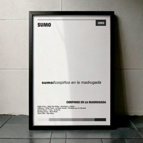 Cuadro Sumo - Corpiños en la Madrugada