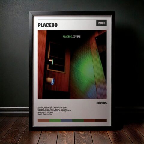 Cuadro Placebo - Covers