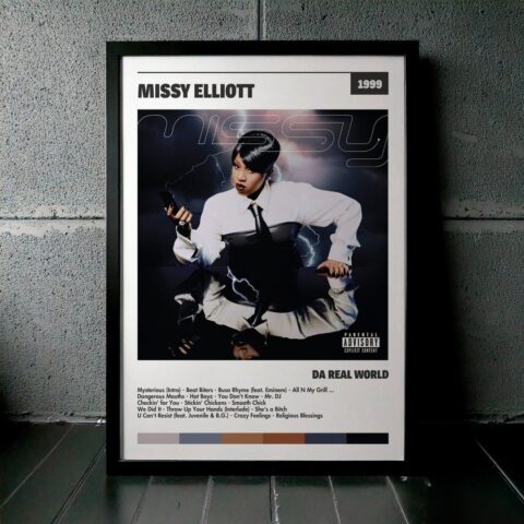 Cuadro Missy Elliott - Da Real World