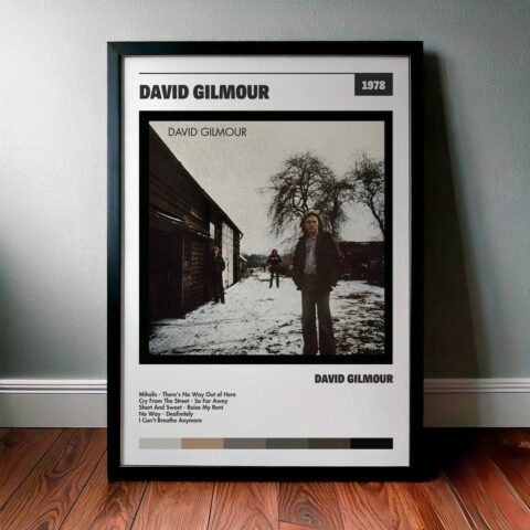 Cuadro David Gilmour - David Gilmour