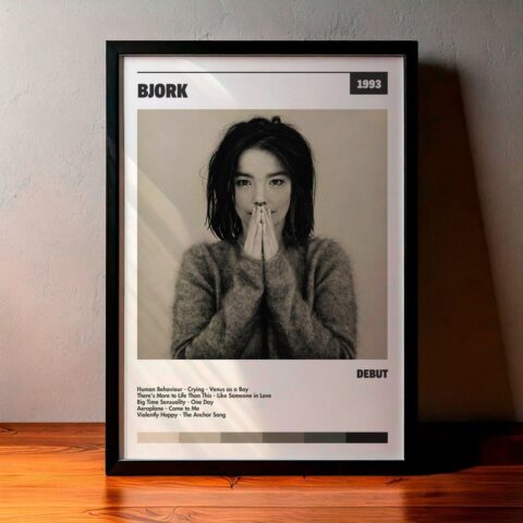 Cuadro Björk - Debut