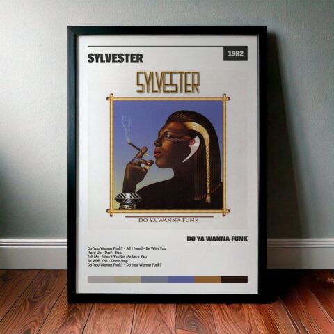 Cuadro Sylvester - Do Ya Wanna Funk