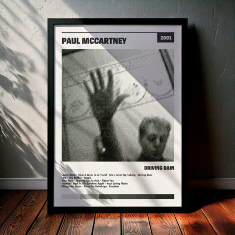 Cuadro Paul McCartney - Driving Rain