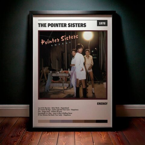 Cuadro The Pointer Sisters - Energy