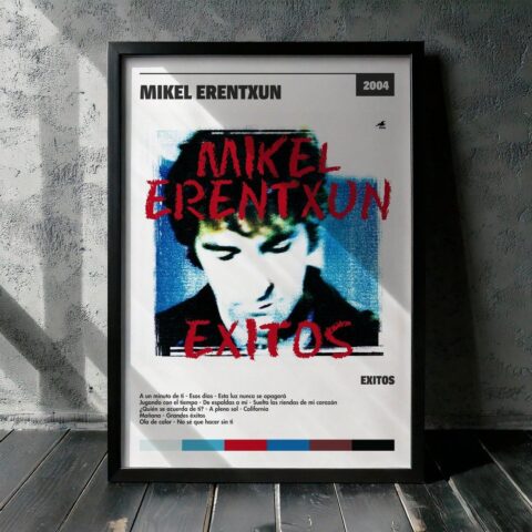 Cuadro Mikel Erentxun - Exitos