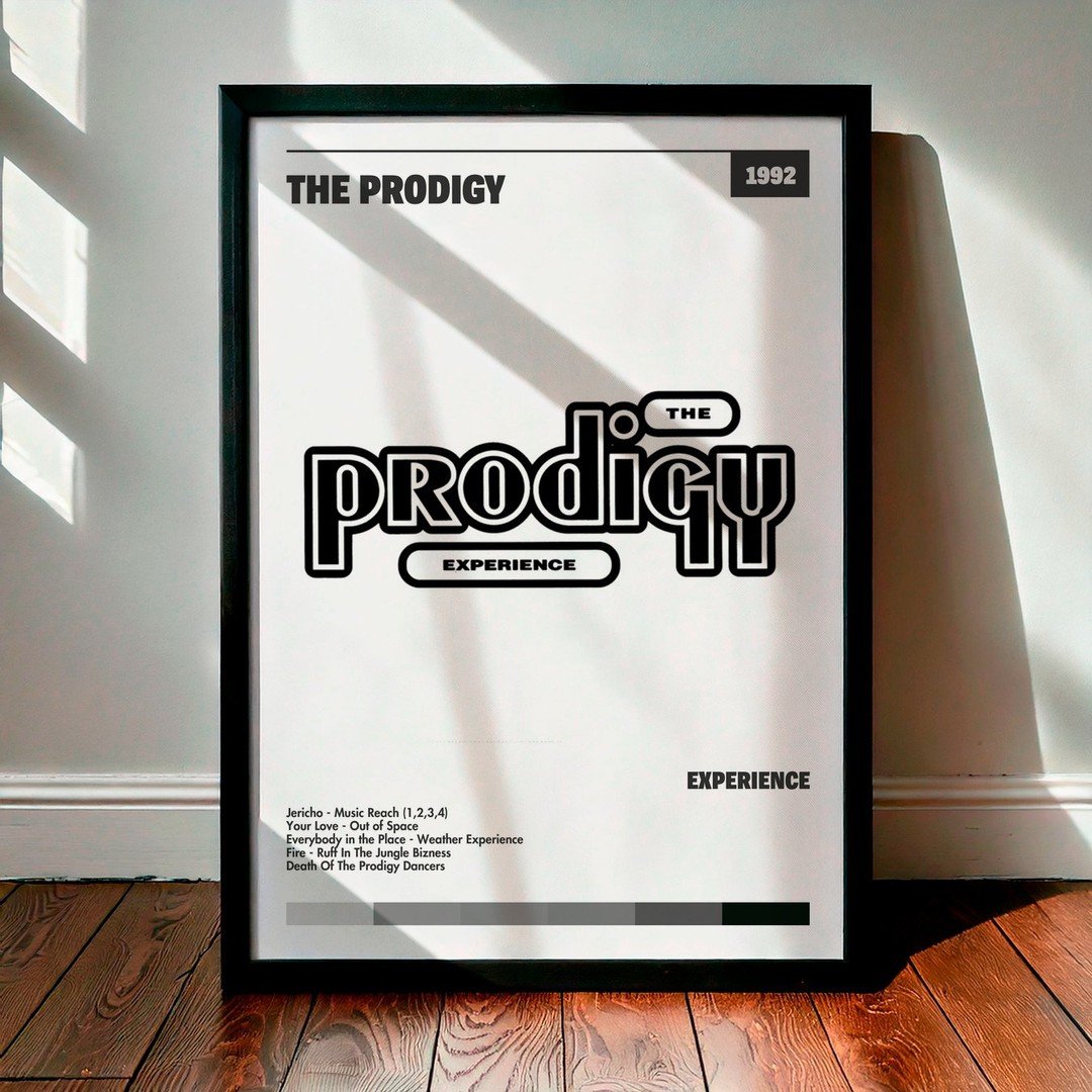 Cuadro The Prodigy - Experience