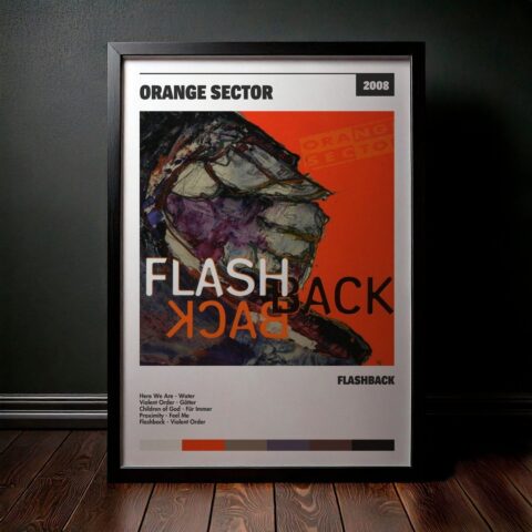 Cuadro Orange Sector - Flashback