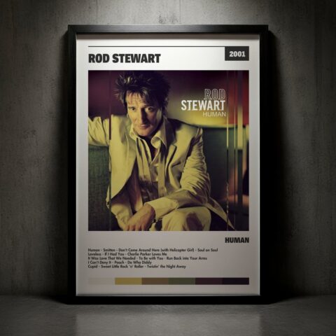 Cuadro Rod Stewart - Human