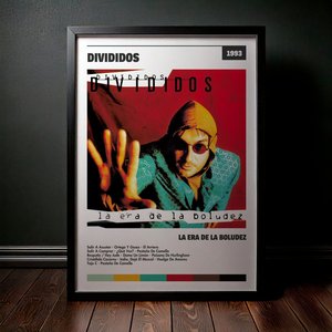 Cuadro Divididos - La Era De La Boludez