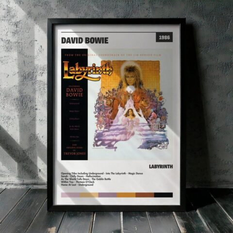 Cuadro David Bowie - Labyrinth