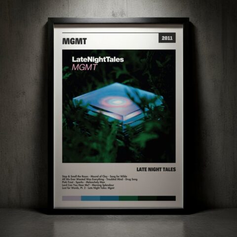 Cuadro MGMT - Late Night Tales