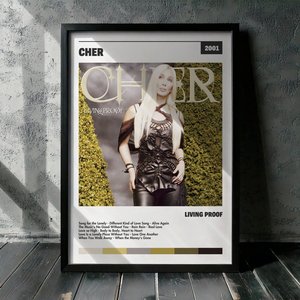 Cuadro Cher - Living Proof