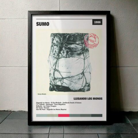 Cuadro Sumo - Llegando Los Monos