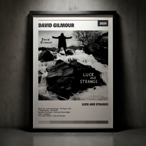 Cuadro David Gilmour - Luck and Strange