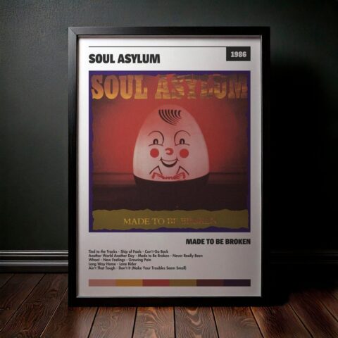 Cuadro Disco Asylum - Made To Be Broken