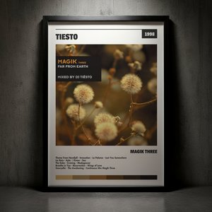 Cuadro Tiësto - Magik Three