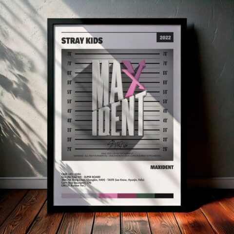 Cuadro Stray Kids - MAXIDENT