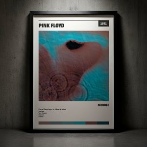 Cuadro Pink Floyd - Meddle