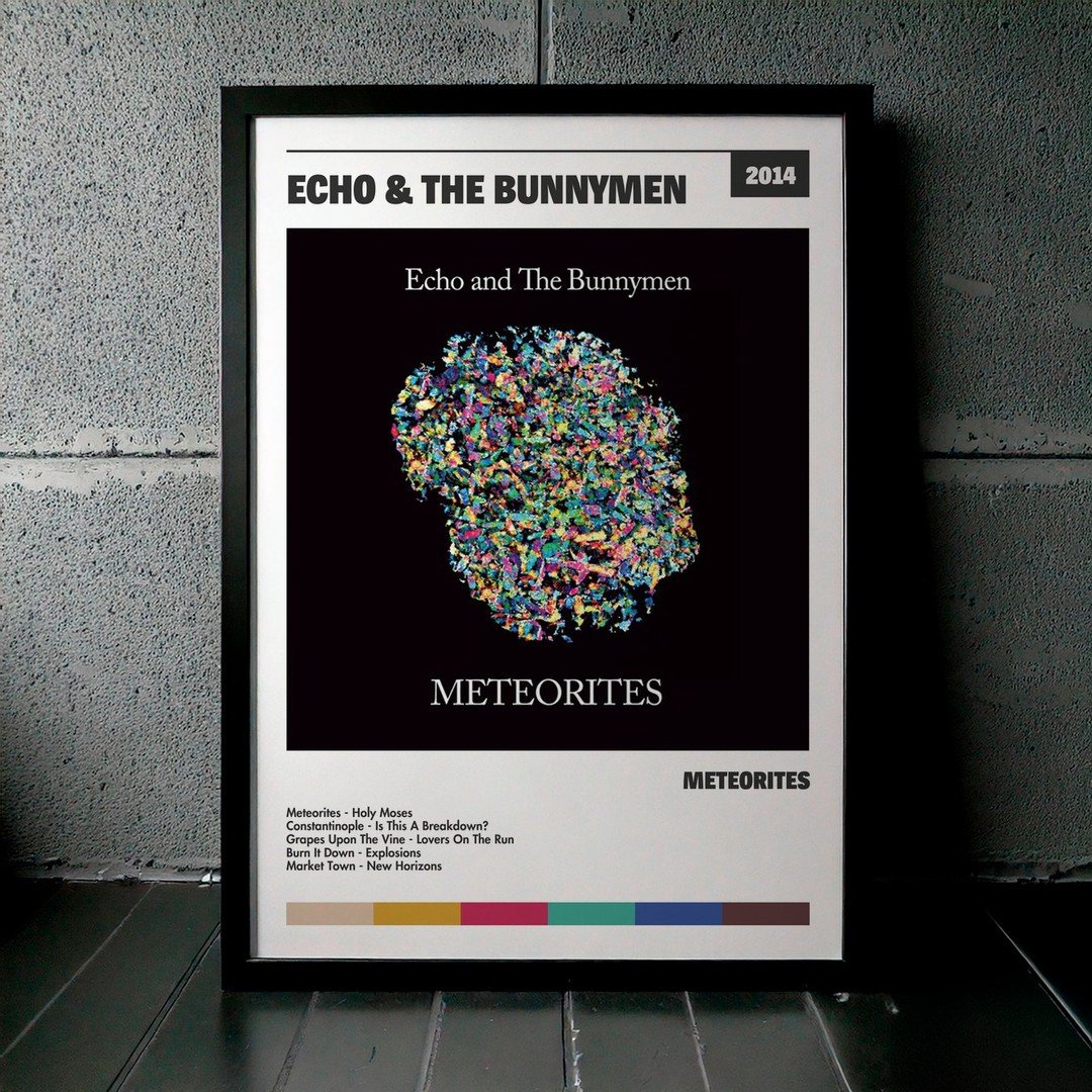 Cuadro Echo & the Bunnymen - Meteorites