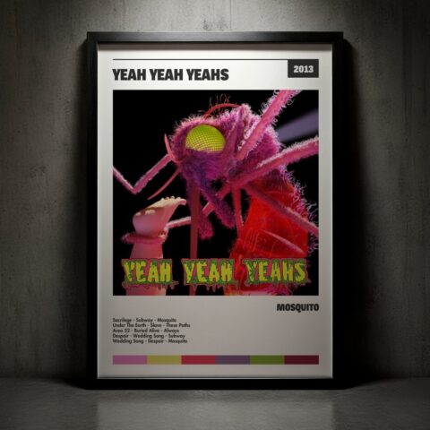 Cuadro Yeah Yeah Yeahs - Mosquito