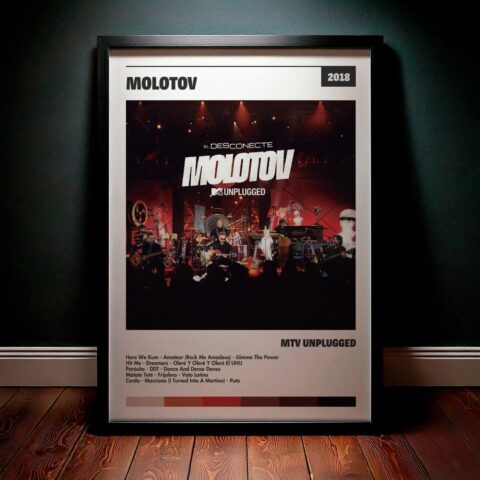 Cuadro Molotov - MTV Unplugged