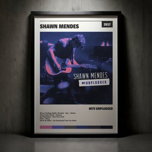 Cuadro Shawn Mendes - MTV Unplugged