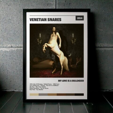 Cuadro Venetian Snares - My Love Is a Bulldozer