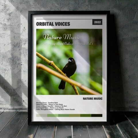 Cuadro orbital voices - Nature Music