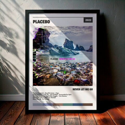 Cuadro Placebo - Never Let Me Go