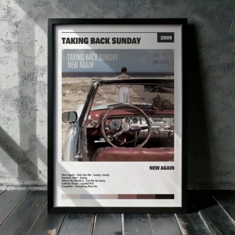 Cuadro Taking Back Sunday - New Again