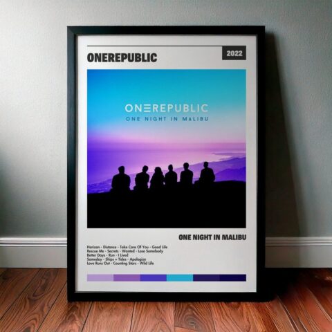 Cuadro OneRepublic - One Night In Malibu