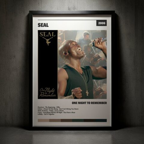 Cuadro Seal - One Night to Remember