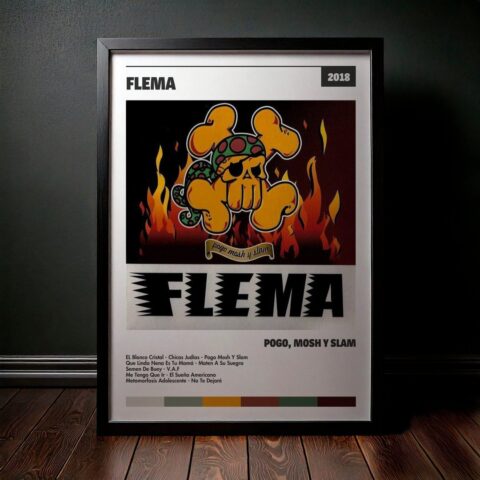 Cuadro Flema - Pogo, Mosh y Slam
