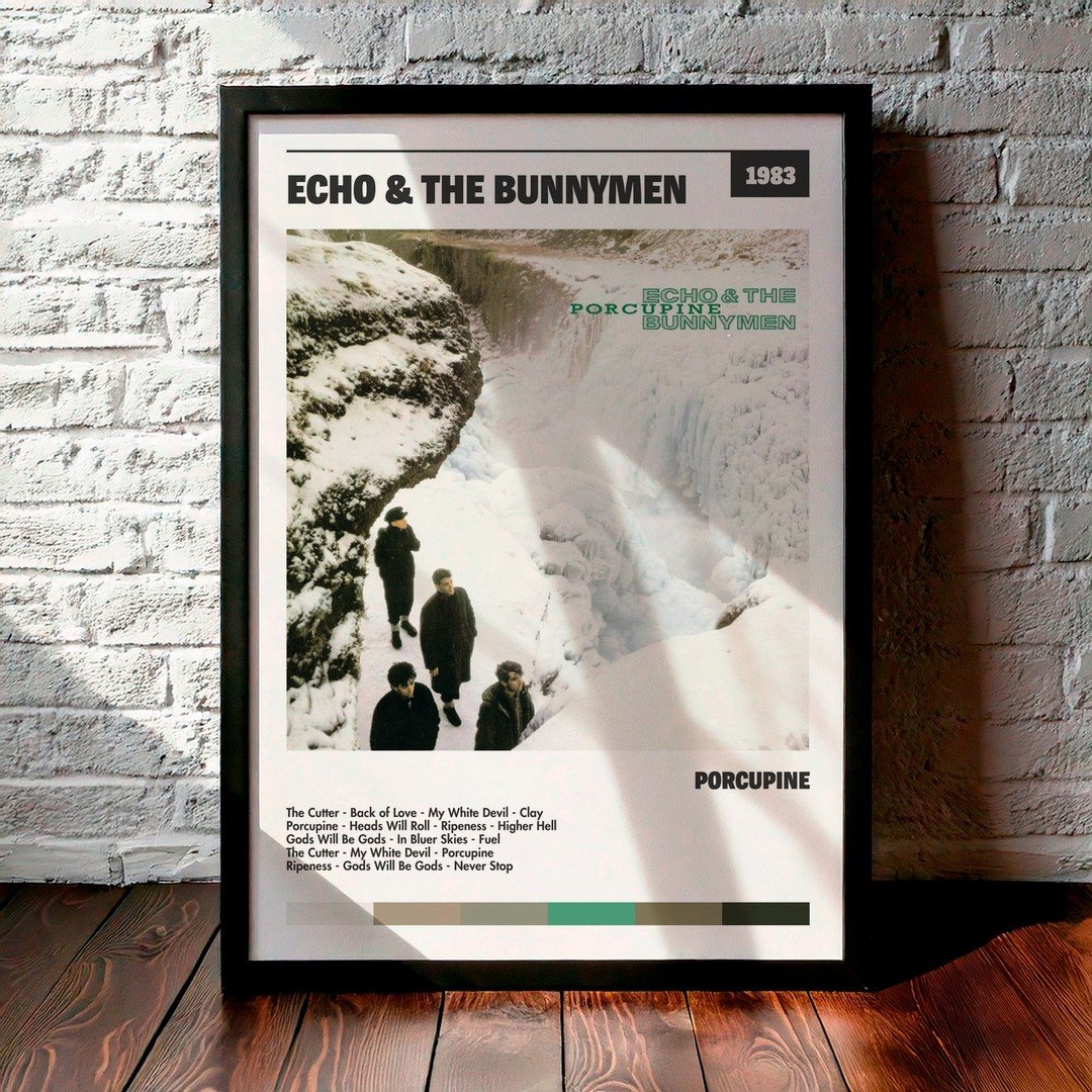 Cuadro Echo & the Bunnymen - Porcupine