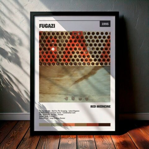 Cuadro Fugazi - Red Medicine