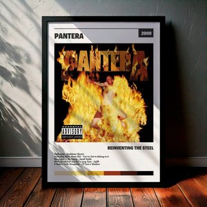 Cuadro Pantera - Reinventing the Steel